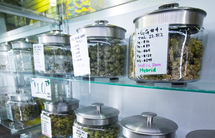 Santa Monica Releases Application Requirements Preview for New Cannabis Retailers