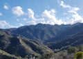 Prescribed Burn Set for Santa Monica Mountains on Friday